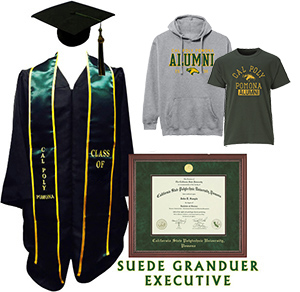 Bachelors Grad Pack C