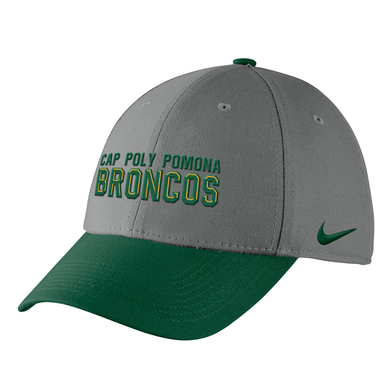 3D Bronco Fitted Cap